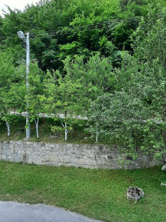 Demmir * Travnik